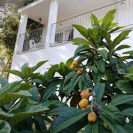 In Campagna Da Nino Guest house Olbia